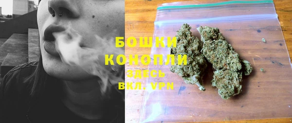 прущие крисы Арсеньев