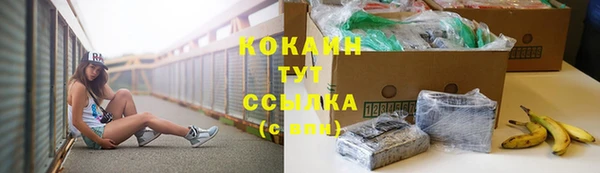 прущие крисы Арсеньев