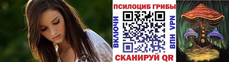 Псилоцибиновые грибы Magic Shrooms  маркетплейс какой сайт  Ярцево  закладки 