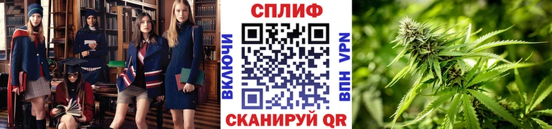 как найти   Ярцево  сайты даркнета формула  Шишки марихуана сатива 